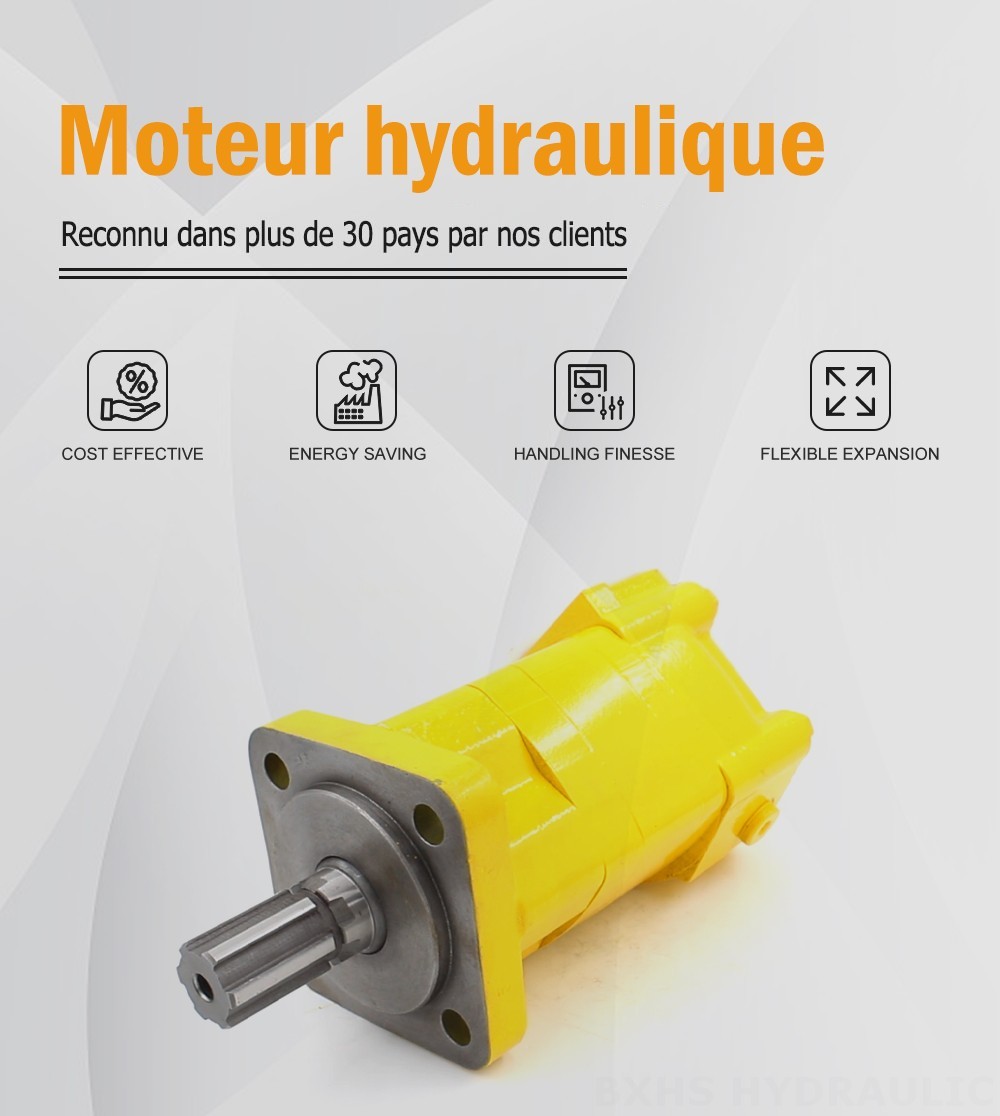 Moteur hydraulique cycloïdal BM5_Cycloid Hydraulic Motor-2 100 cm³/tr 75 L/min Moteur hydraulique